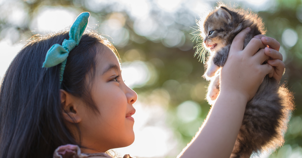 New to Pet Parenting? 3 Quick Tips in Raising Your Kitten Right.